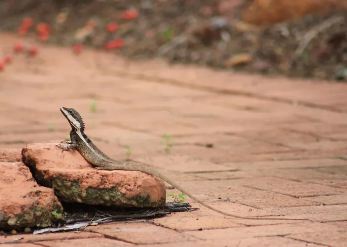 Coconut Grove Holiday Apartments Darwin